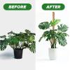 imageEcoNour 28quot 2 Pack Moss Pole  Moss Pole Monstera Plant Support  Plant Sticks for Indoor Climbing Plants  Support for Potted Plants Like Pothos Philodendrons and More28 Inches  4 PCS