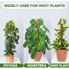 imageEcoNour 28quot 2 Pack Moss Pole  Moss Pole Monstera Plant Support  Plant Sticks for Indoor Climbing Plants  Support for Potted Plants Like Pothos Philodendrons and More63 Inches  2 PCS