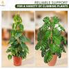 imageEcoNour 28quot 2 Pack Moss Pole  Moss Pole Monstera Plant Support  Plant Sticks for Indoor Climbing Plants  Support for Potted Plants Like Pothos Philodendrons and More63 Inches  1 PC