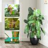 imageEcoNour 28quot 2 Pack Moss Pole  Moss Pole Monstera Plant Support  Plant Sticks for Indoor Climbing Plants  Support for Potted Plants Like Pothos Philodendrons and More63 Inches  1 PC