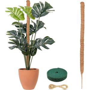 imageEcoNour 28quot 2 Pack Moss Pole  Moss Pole Monstera Plant Support  Plant Sticks for Indoor Climbing Plants  Support for Potted Plants Like Pothos Philodendrons and More63 Inches  1 PC