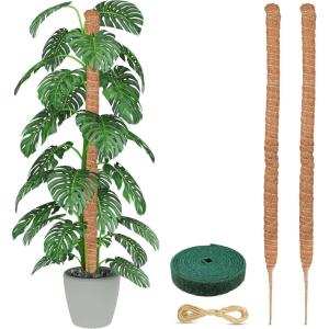 imageEcoNour 28quot 2 Pack Moss Pole  Moss Pole Monstera Plant Support  Plant Sticks for Indoor Climbing Plants  Support for Potted Plants Like Pothos Philodendrons and More63 Inches  2 PCS