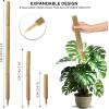 imageEcoNour 265quot 2 Pack 16quot Stackable Moss Pole for Monstera Plant Support  Moss Pole Sticks for Indoor Plants  Bamboo Plant StakesClimbingPottedPothos Philodendron ampamp Creepers with Tie Accessory475