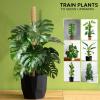 imageEcoNour 265quot 2 Pack 16quot Stackable Moss Pole for Monstera Plant Support  Moss Pole Sticks for Indoor Plants  Bamboo Plant StakesClimbingPottedPothos Philodendron ampamp Creepers with Tie Accessory265