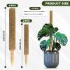 imageEcoNour 265quot 2 Pack 16quot Stackable Moss Pole for Monstera Plant Support  Moss Pole Sticks for Indoor Plants  Bamboo Plant StakesClimbingPottedPothos Philodendron ampamp Creepers with Tie Accessory605