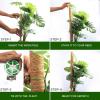 imageEcoNour 265quot 2 Pack 16quot Stackable Moss Pole for Monstera Plant Support  Moss Pole Sticks for Indoor Plants  Bamboo Plant StakesClimbingPottedPothos Philodendron ampamp Creepers with Tie Accessory475