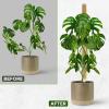 imageEcoNour 265quot 2 Pack 16quot Stackable Moss Pole for Monstera Plant Support  Moss Pole Sticks for Indoor Plants  Bamboo Plant StakesClimbingPottedPothos Philodendron ampamp Creepers with Tie Accessory605