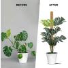imageEcoNour 265quot 2 Pack 16quot Stackable Moss Pole for Monstera Plant Support  Moss Pole Sticks for Indoor Plants  Bamboo Plant StakesClimbingPottedPothos Philodendron ampamp Creepers with Tie Accessory475