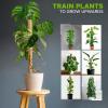 imageEcoNour 265quot 2 Pack 16quot Stackable Moss Pole for Monstera Plant Support  Moss Pole Sticks for Indoor Plants  Bamboo Plant StakesClimbingPottedPothos Philodendron ampamp Creepers with Tie Accessory605