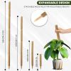 imageEcoNour 265quot 2 Pack 16quot Stackable Moss Pole for Monstera Plant Support  Moss Pole Sticks for Indoor Plants  Bamboo Plant StakesClimbingPottedPothos Philodendron ampamp Creepers with Tie Accessory605