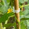 imageEcoNour 300Pcs Plant Support Clips for Garden  Tomato Clips for Twine Vines Trellis and Cages  Plant Support Garden Clips for Climbing  Garden Clips to Grow Upright Makes Plants Healthier100 Pieces