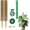 imageEcoNour 265quot 2 Pack 16quot Stackable Moss Pole for Monstera Plant Support  Moss Pole Sticks for Indoor Plants  Bamboo Plant StakesClimbingPottedPothos Philodendron ampamp Creepers with Tie Accessory265